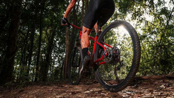 ¡El momento secreto para EXPLOTAR tu RENDIMIENTO en MTB!  La Ciencia Revela la Hora PERFECTA para Entrenar